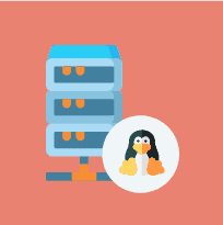 Web Hosting