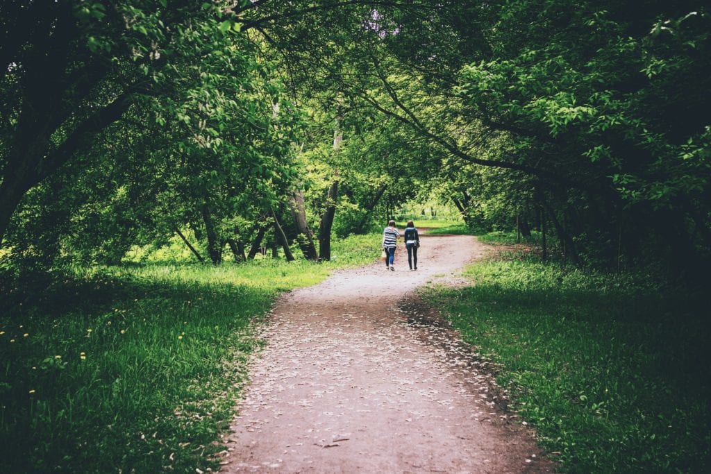 two people walking in the forest