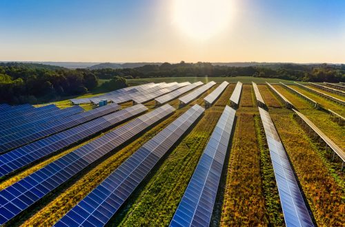 solar panels in field with sun in background