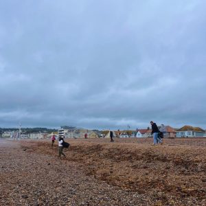 beach clean